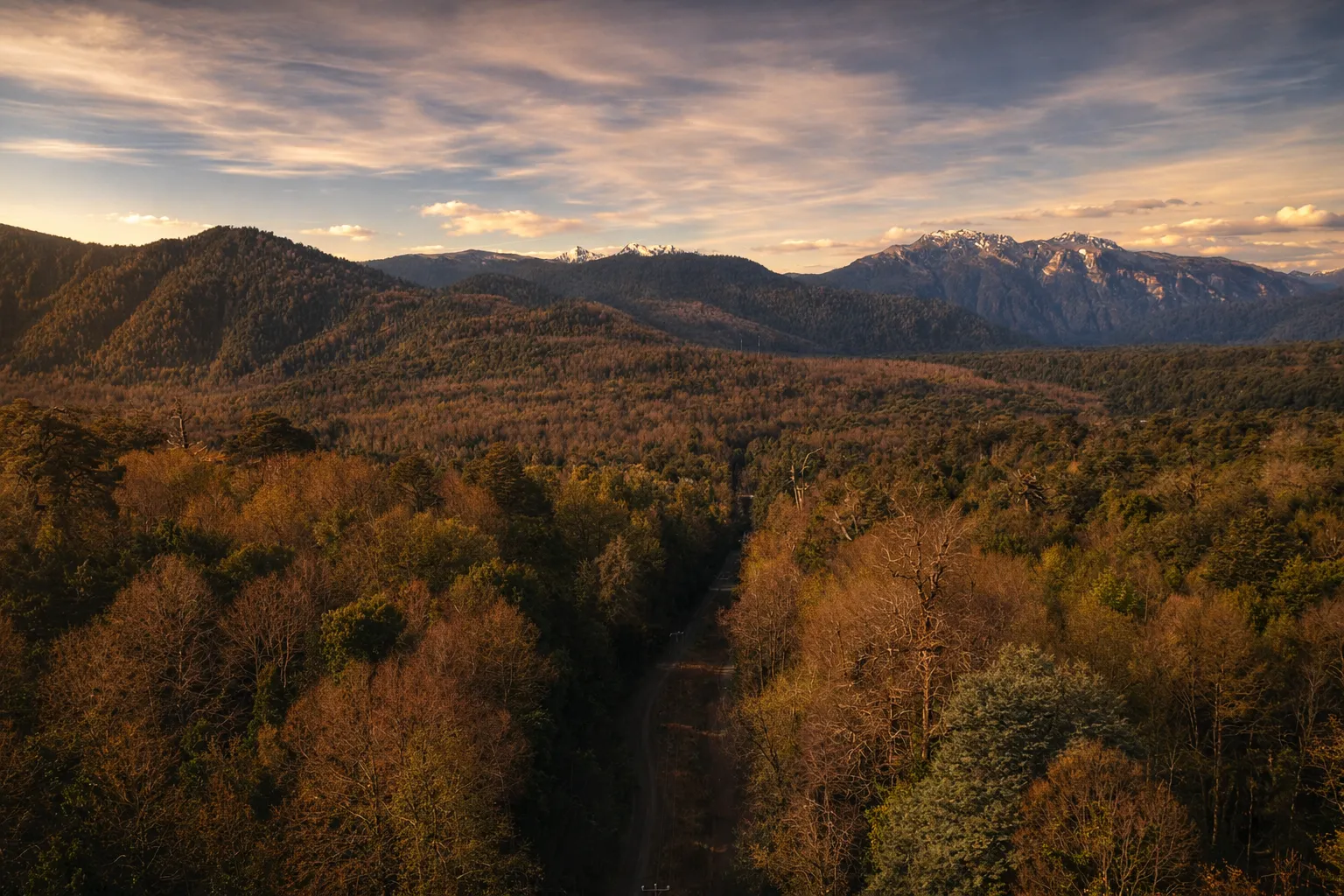Bosque otoñal desde el aire