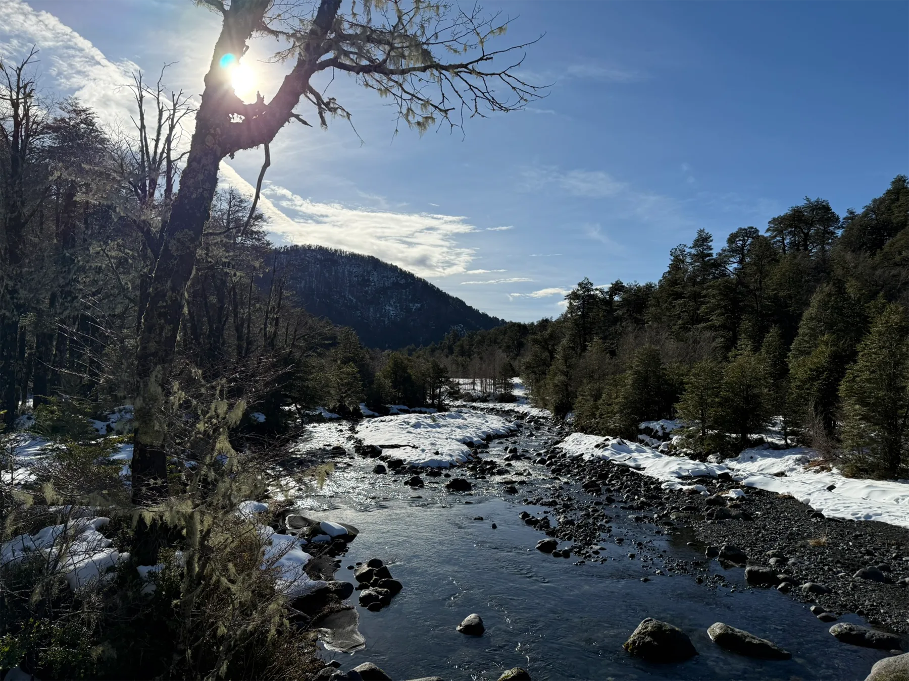 Río Fuy cruzando el bosque