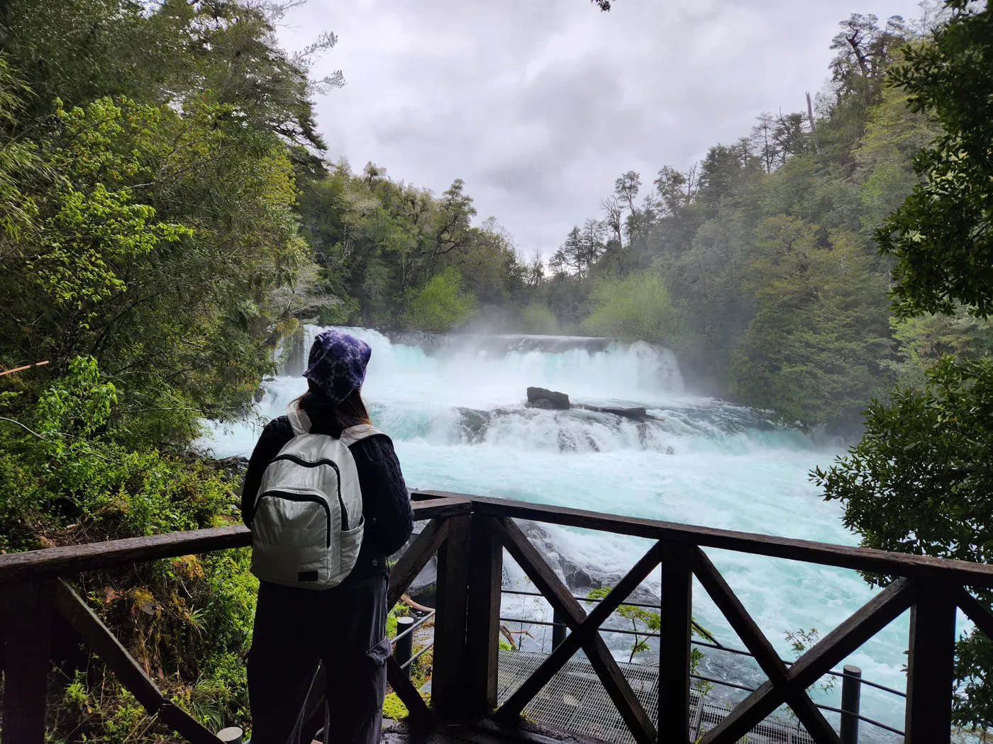 Salto la Leona