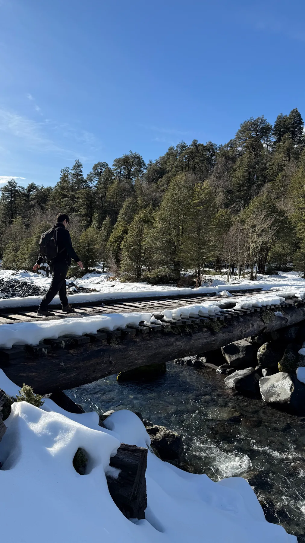 Trekking en la nieve